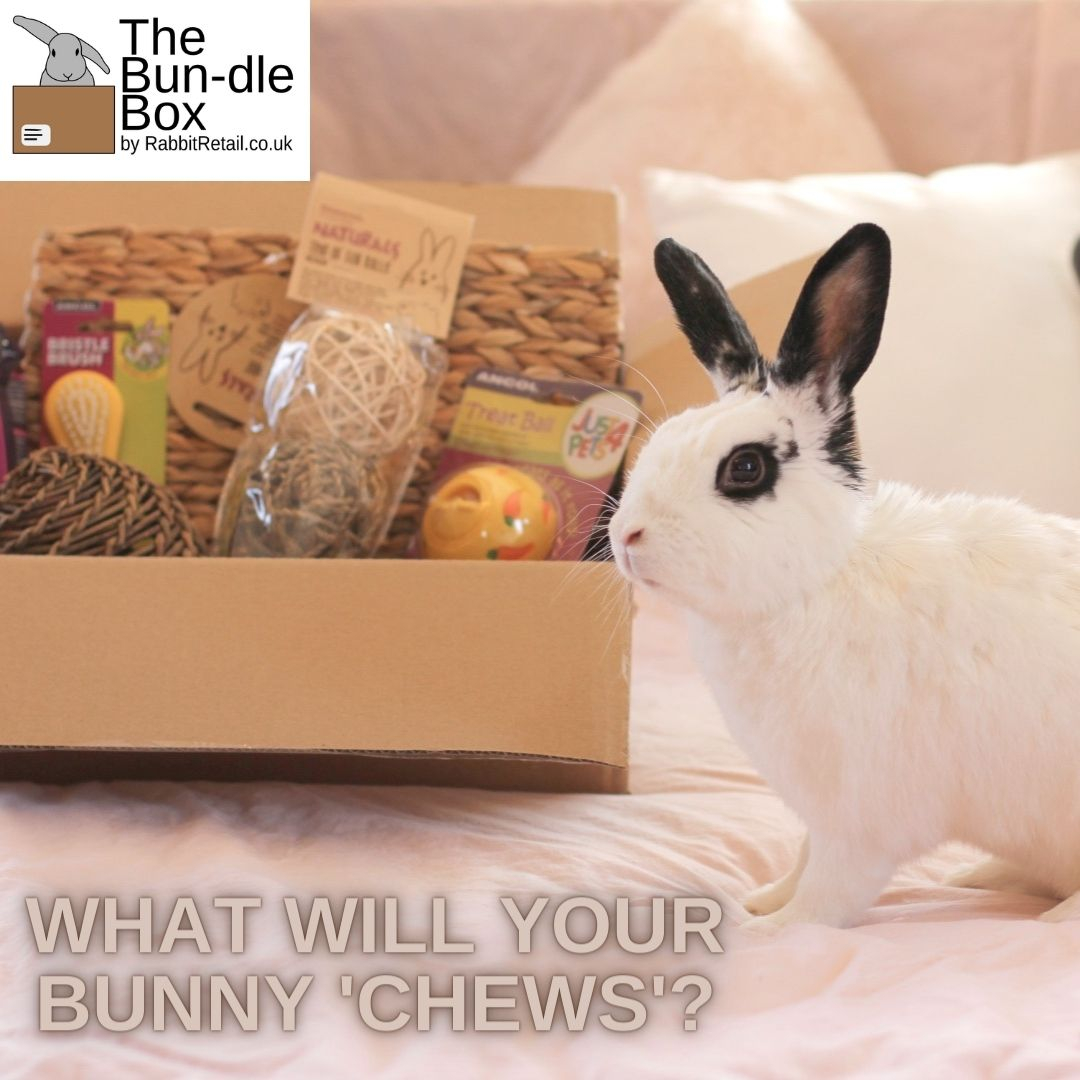 RabbitRetailUK's tweet image. The Bun-dle Box is our best seller - pick and mix 6 items for £20 with free UK Shipping!

It is only £19.60 today and tomorrow (that is 2% off) for our 2 Year Birthday! 

#Bunny #Rabbit #OneHopShop #RabbitRetail #BundleBox #Bundle #BoxForBunnies #BunnyPickAndMix