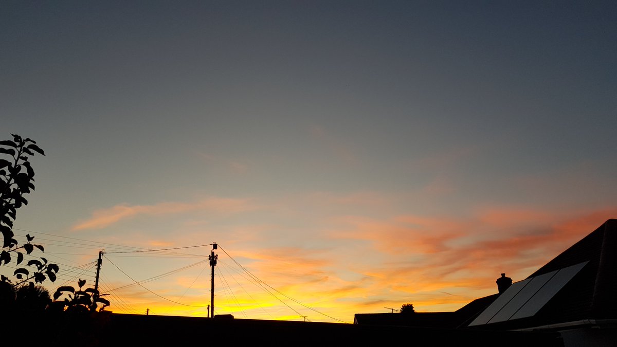 DaisyShylass's tweet photo. ⚠️Get thissen outside sharpish and do a #SunsetSurvey ⚠️

You're a little late, but not to worry. 🌟💖

#BatWatch #HedgehogWatch #PondWatch #FrogWatch #ToadWatch #NewtWatch #OwlWatch here!

Already heard a bee, a frog &amp; Alan the plastic heron.

#Wildlife #Sunset #LoveUKWeather https://t.co/CekZinXnRT