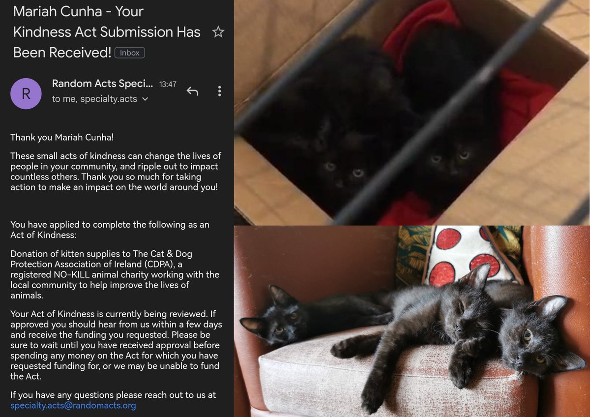 iaiah_cello's tweet photo. Last month my flatmates and I decided to register as a pet foster home and these three furry balls of love came into our lives. Now, with the help of @GISH and @RandomActsOrg, we're thanking CDPA with more cat supplies to be given to their following volunteers #1kActsRA #GISH https://t.co/ONGKucU2tV