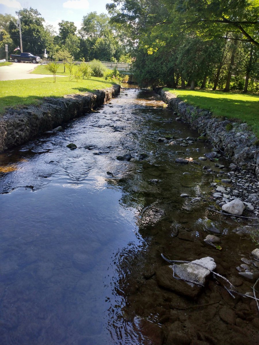 RockinRachi92x's tweet photo. Went for a walk this morning and stopped by the creek to snap this. So pretty! 🏞️☀️📸 #saturdayserenity #happyweekendfam ♥️ https://t.co/crToTFLKM5