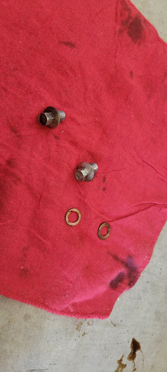 the_daddyrabbit's tweet image. When you figure out mid oil change that the filter you bought is the wrong one. 🥺🐇 #backtothestore