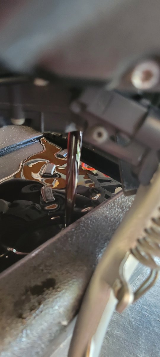 the_daddyrabbit's tweet image. When you figure out mid oil change that the filter you bought is the wrong one. 🥺🐇 #backtothestore