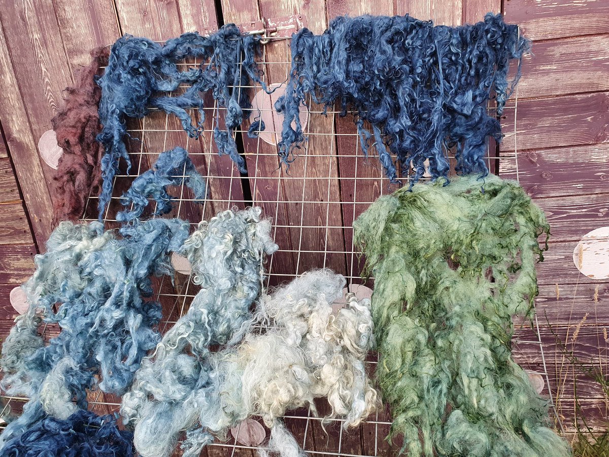 ShropshireWay's tweet photo. #Indigo and (mostly) #Cotswold #Wool
#SaturdayProject https://t.co/YMyDZfFEYO
