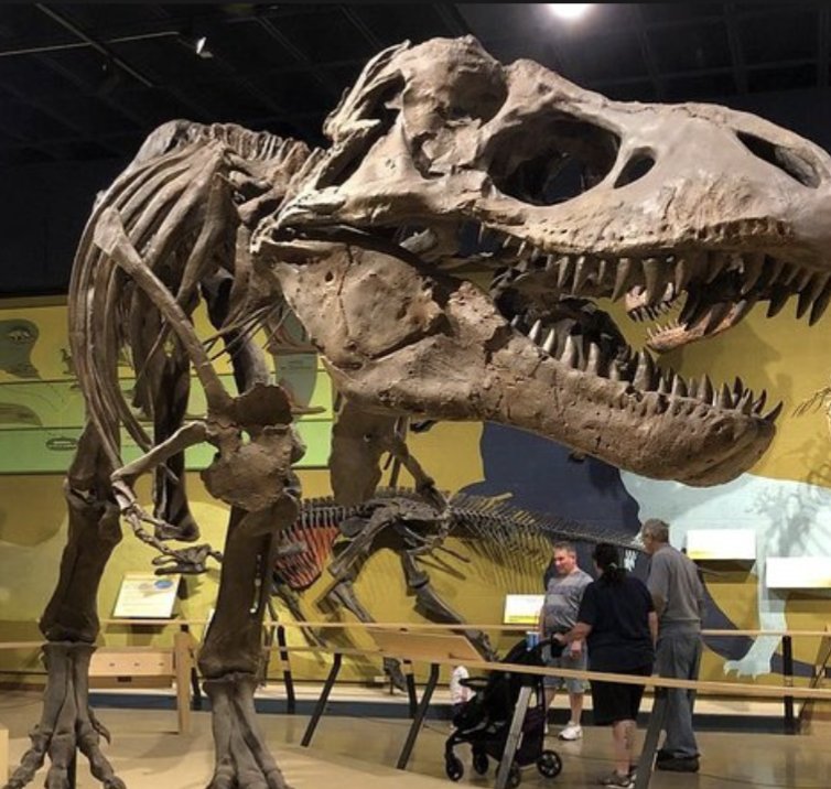 BirdSeedTrade's tweet photo. Cleveland's University Circle Area 🧑‍🎓#Cleveland Art 🎨 Museum, Cleveland Botanical Gardens 🎍 and Cleveland Museum of Natural History 🦖 All within a 5 minute walk of each other. #smallsecrets Be a tourist in your own town. https://t.co/9ywG22yufh
