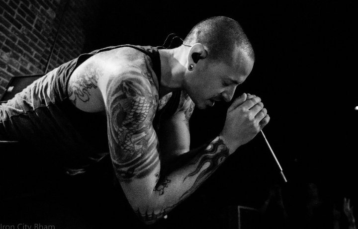 ancalehr's tweet photo. in a dream it seems
just to hold my hand
shaking the release
shaking the release

#CelebrateChestersLife
#holdingyou
#thephoenix https://t.co/aUjyy1KKKf