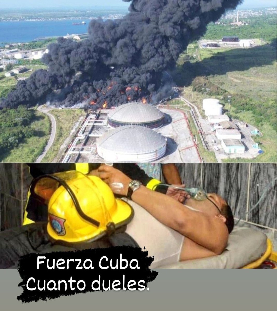 olga consuegra tweet media