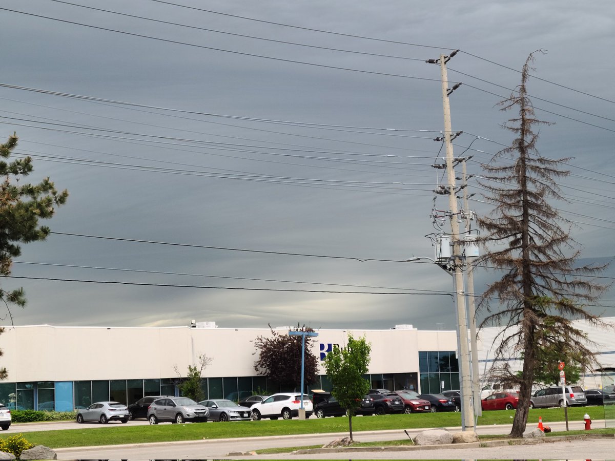 B.A. Dollaz tweet media