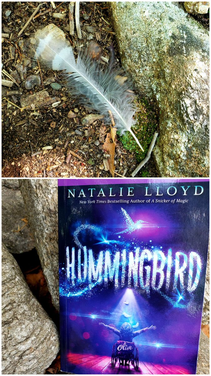 readteachtech's tweet photo. Found a little hope on today's hike.
Made a wish.
What if? @_natalielloyd #mglit #kidlit https://t.co/qkVA6Xu1Vb