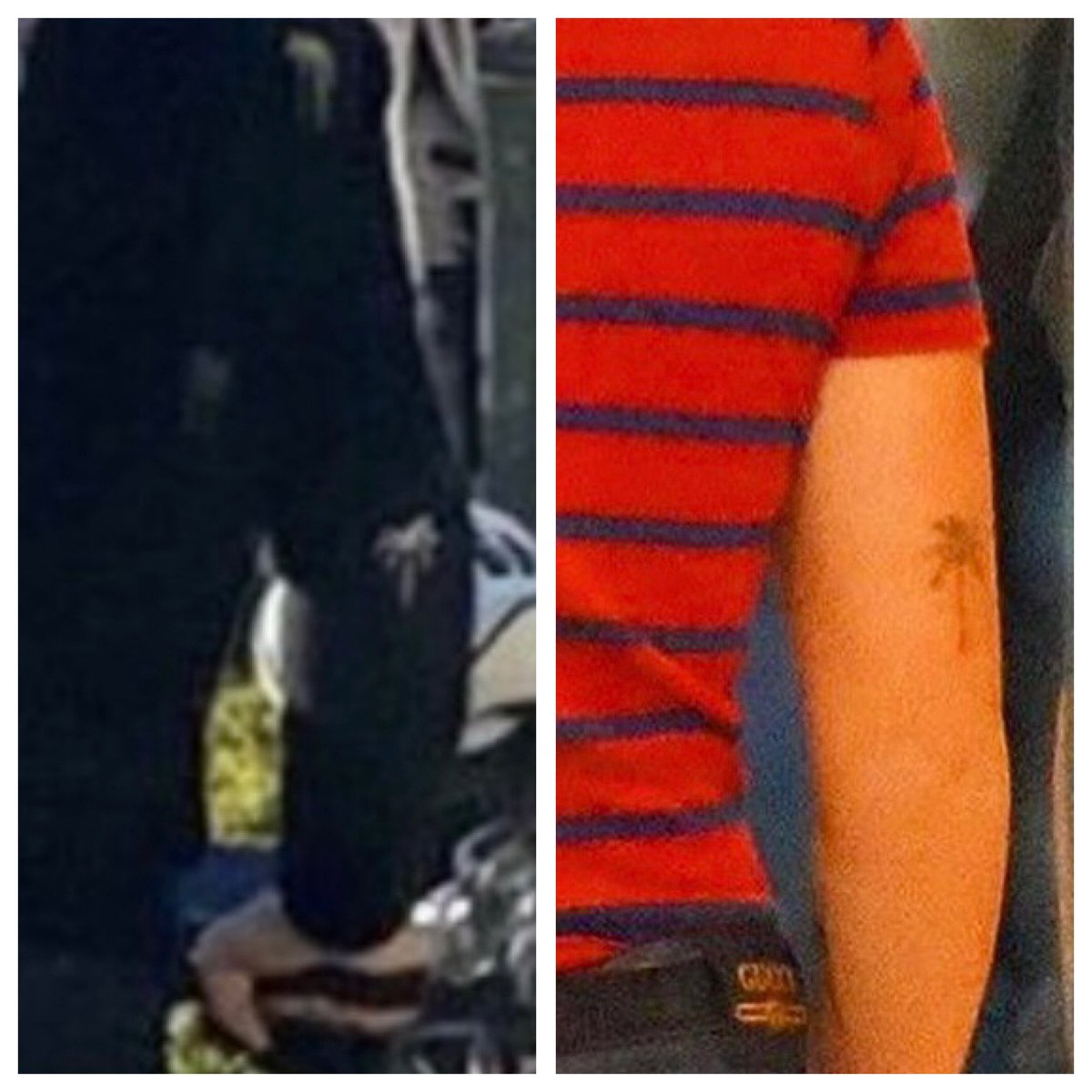 Harry Styles Palm Tree Tattoo Meaning