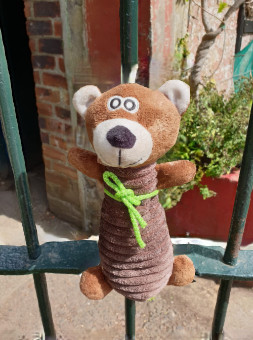 HughNickHorne1's tweet photo. If you left his little fellow behind in the Walled Garden at Barshaw Park, he's waiting for you at the back gate.
@lostteddybear 
#Paisley #Barshaw https://t.co/xW5XJGTEIZ