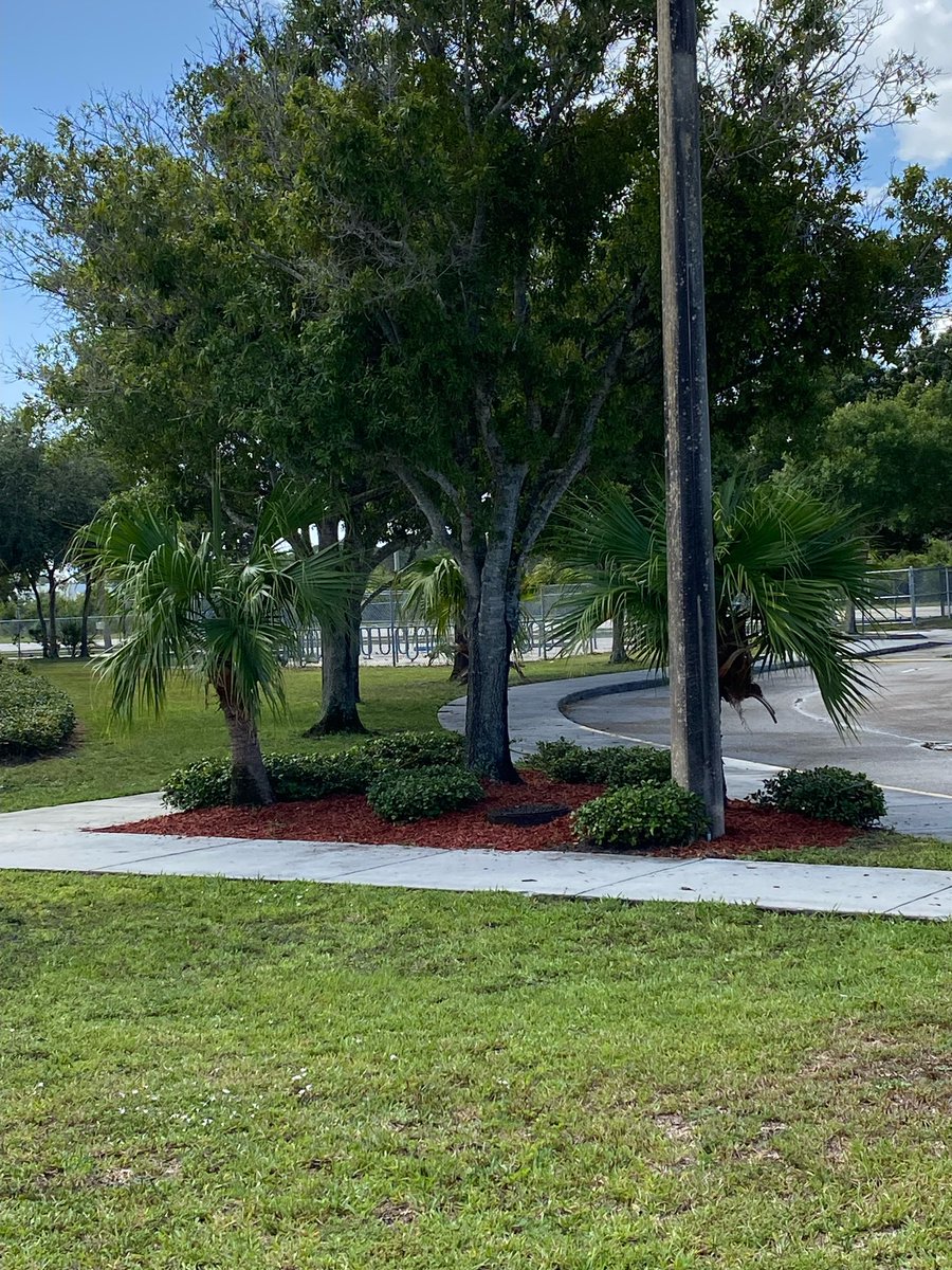 Oslo Middle School tweet media