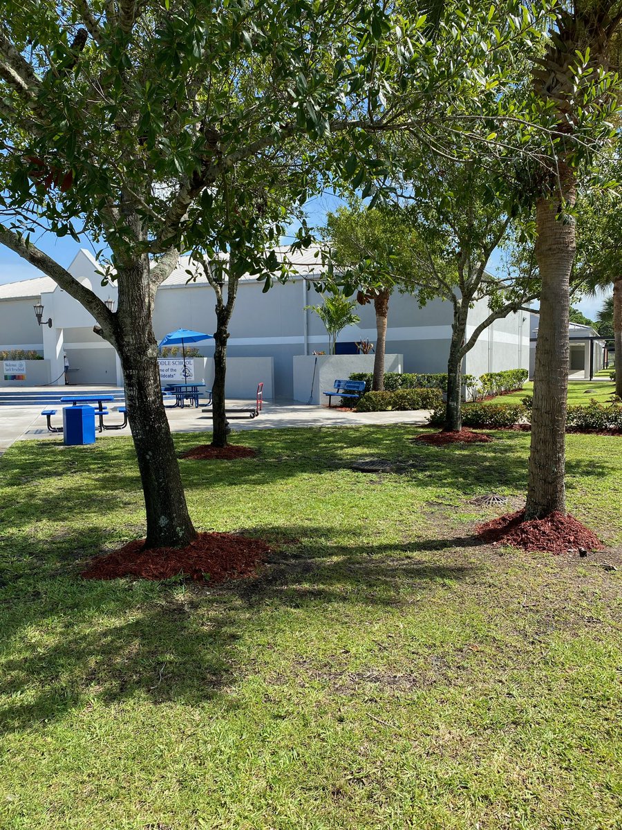 Oslo Middle School tweet media