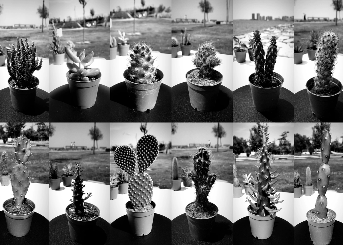 artgarden_nft's tweet photo. The story of “My Little Friends” #NFT collection: https://t.co/iT4uOSqjWU Thank you for the interview @marketing_birds 🙏 https://t.co/4oUcXloyS7