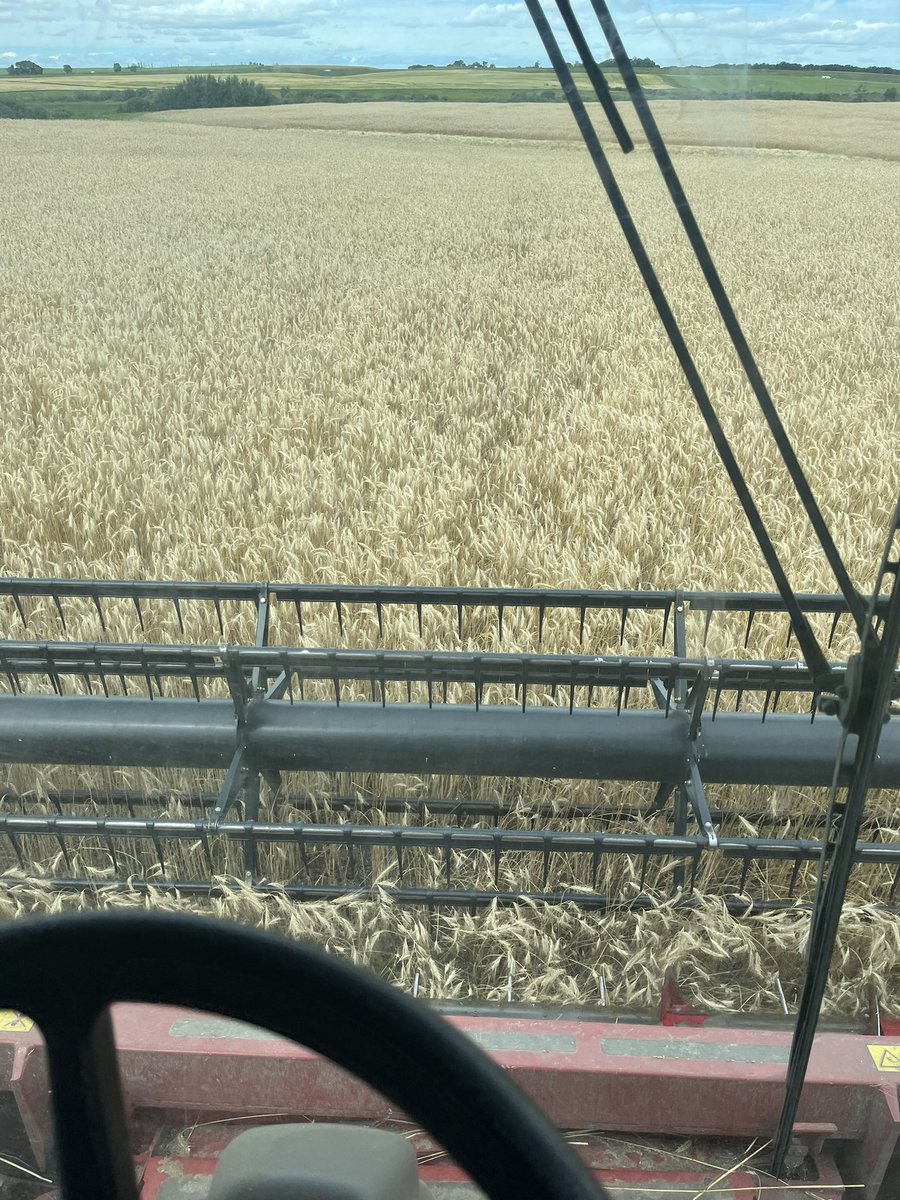 Rye time is a good time first pass of 22 LFG
