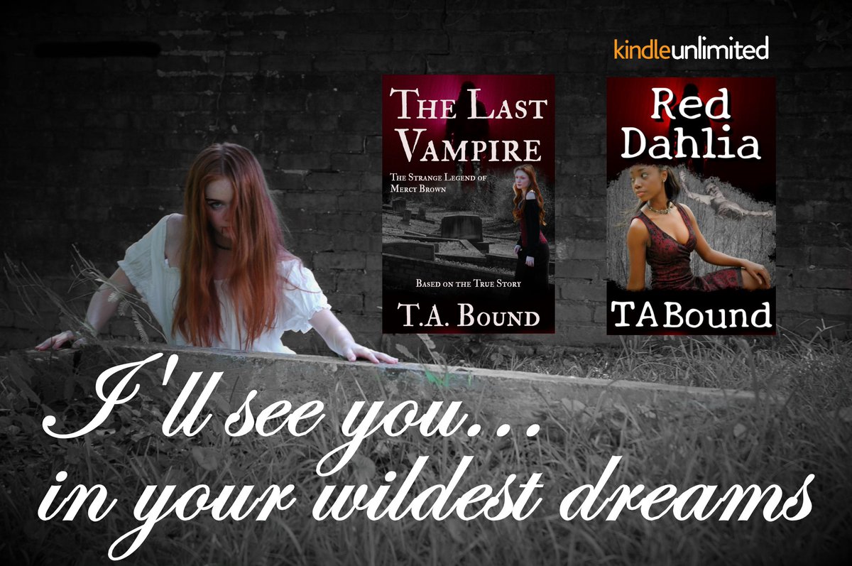 T.A. Bound 🦈🌋 tweet media