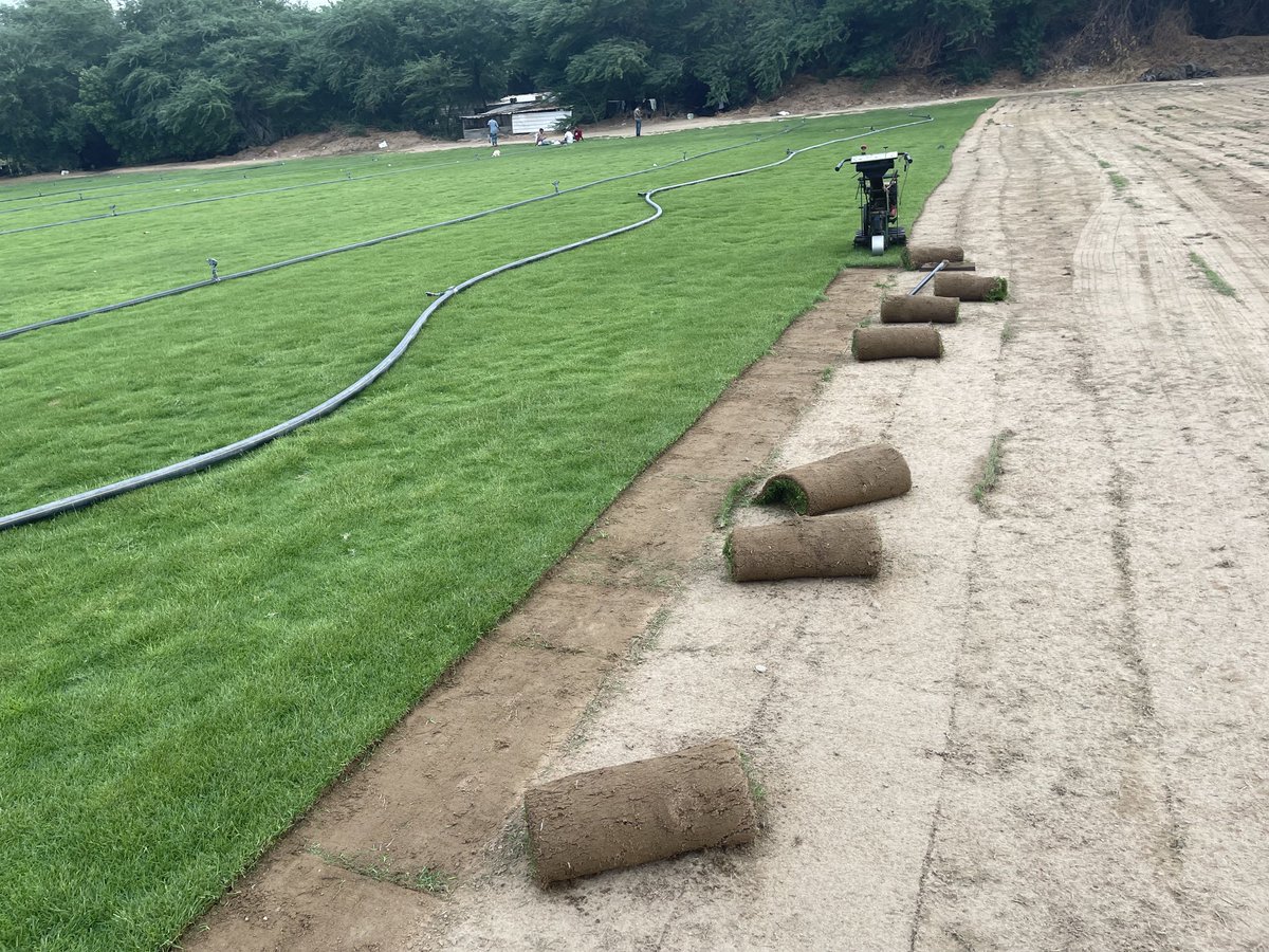 مشاتل بساتين الخليج نجيل طبيعي واشجار متنوعة 0537606955
0592600939
0547438487