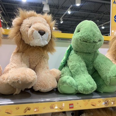 I_am_Phalla's tweet photo. How do you know you are obsessed with #kristsingto #NewProfilePic #legolandny #summer2022 #vacationvibes #lionturtle #Perayaasone https://t.co/L43Gc9y08U