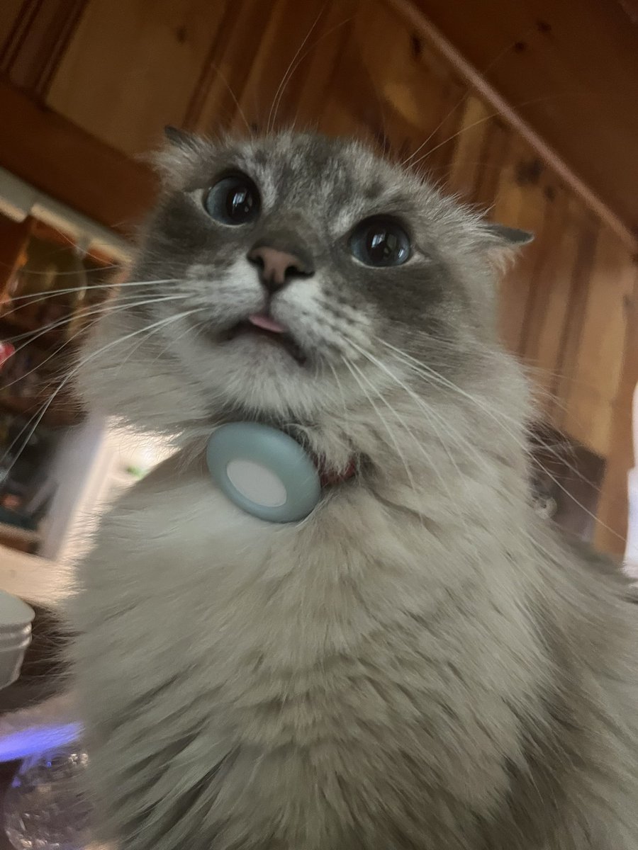 DNA test confirmed im “inbred”