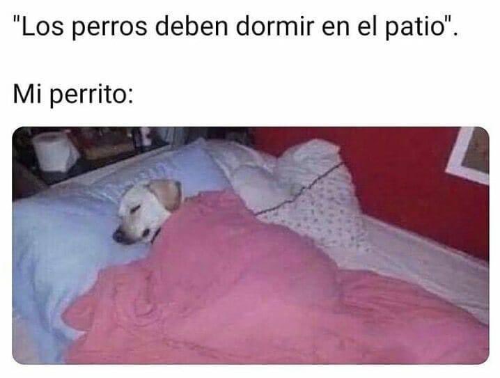 MAnthony_3000's tweet photo. Jejeje 😬 https://t.co/x8LZPchXKB