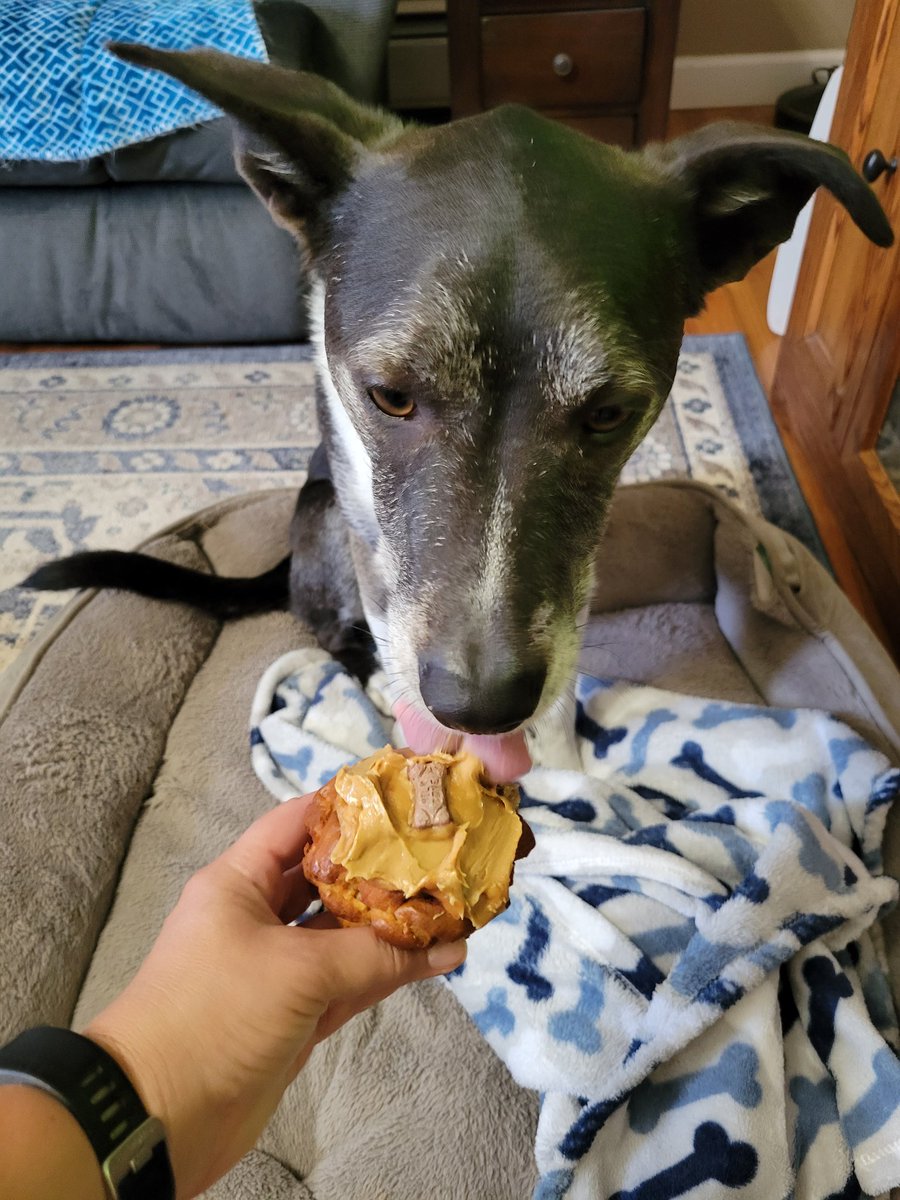 Mrs.  Musket tweet media