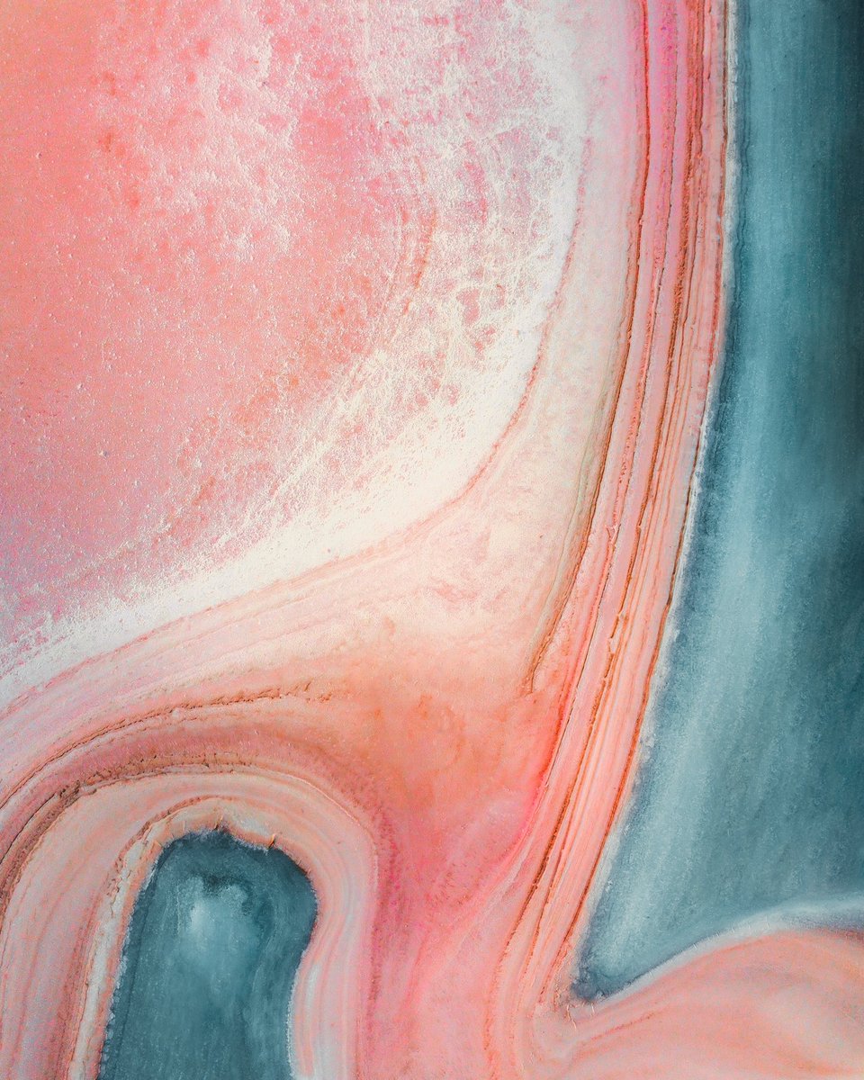 Lola Hubner tweet media