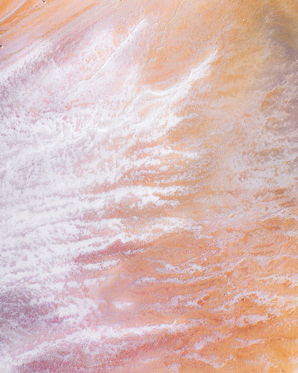 Lola Hubner tweet media