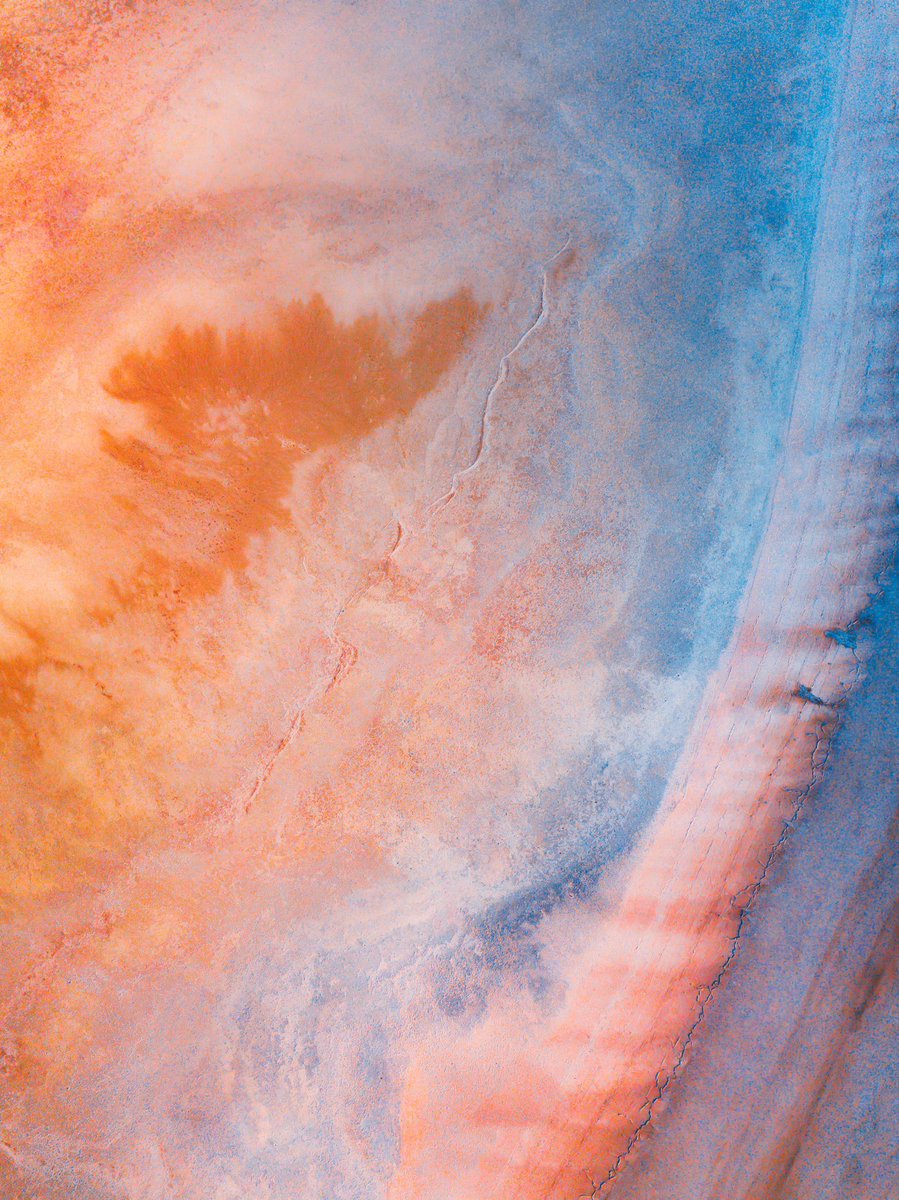 Lola Hubner tweet media