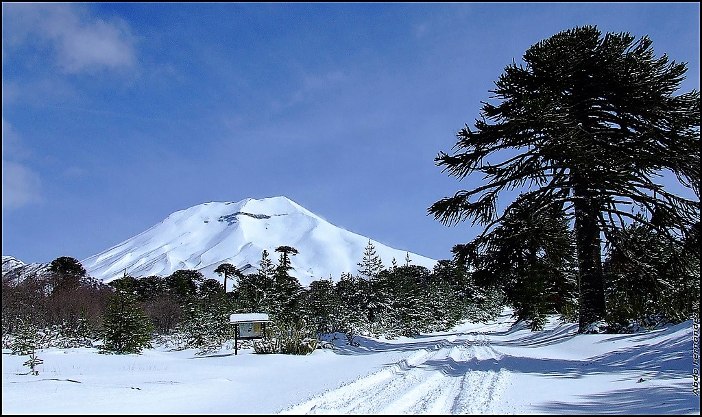 Geoparque Kütralkura tweet media
