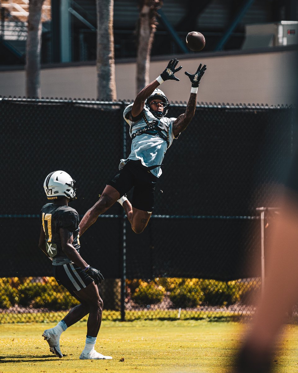 in pursuit 🦇 <a href="/Jhodges_02/">¹ OF ¹</a>