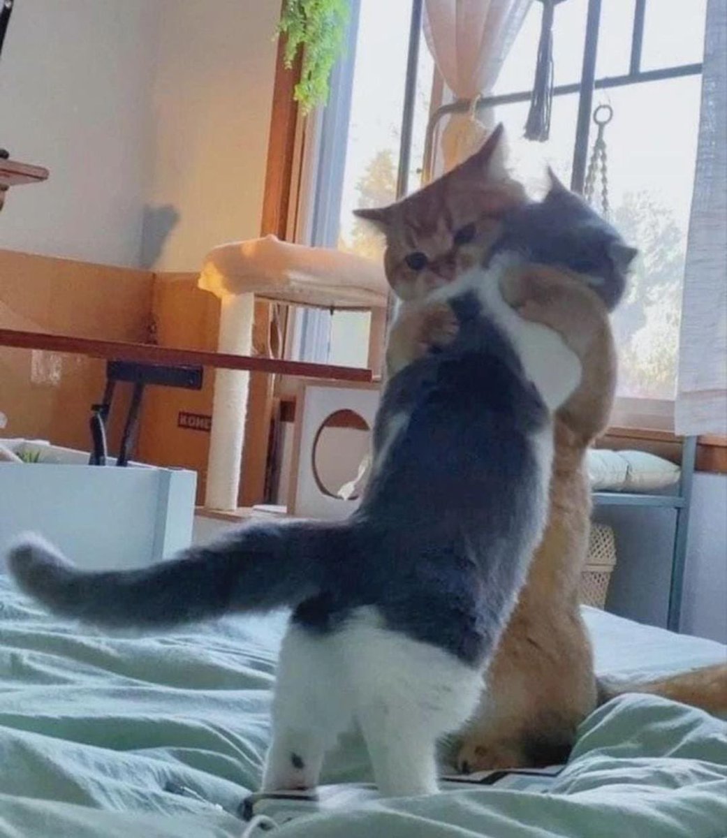 Lunar🪐 tweet media