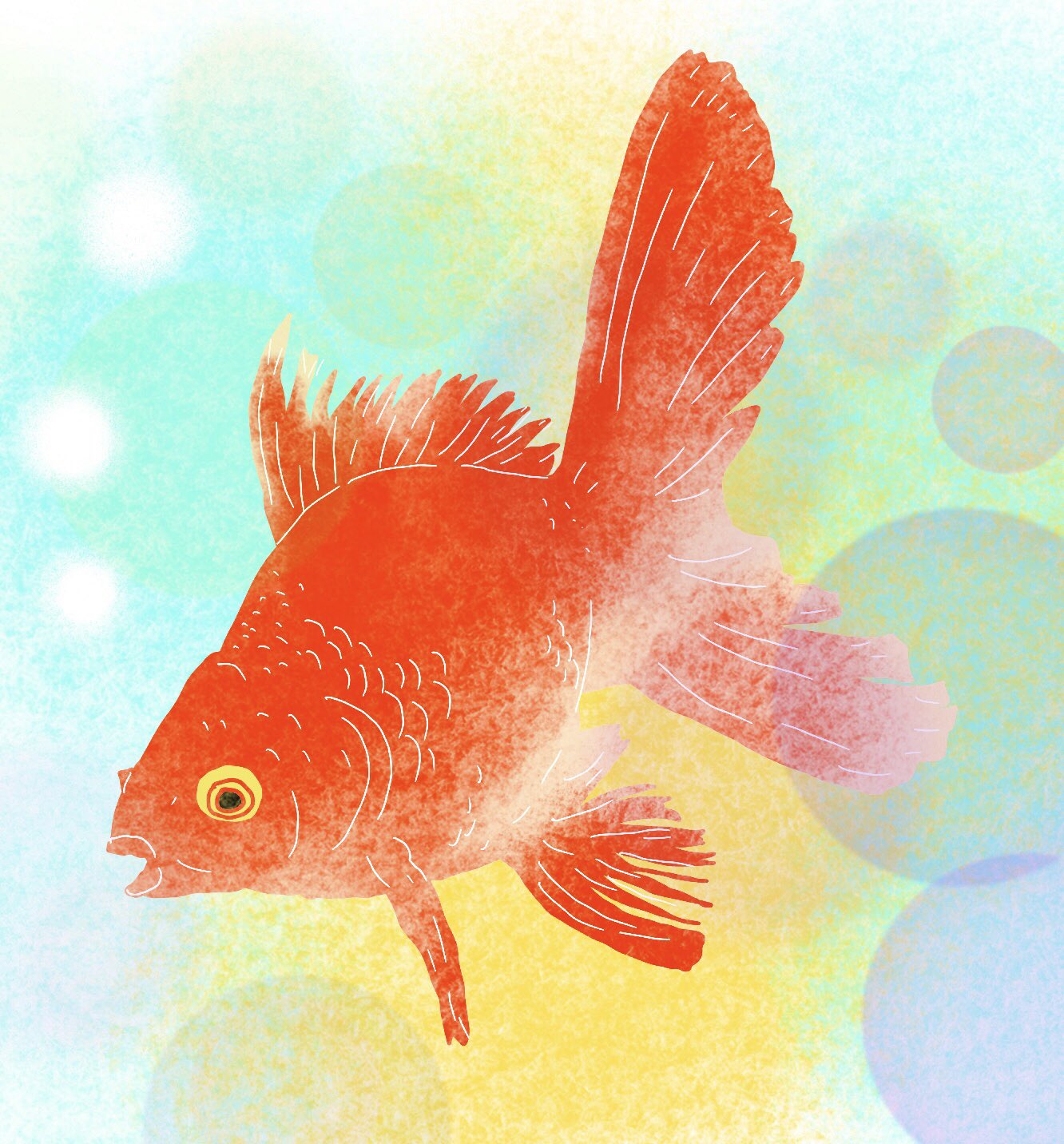 ハルノマチ 8月7日日曜日 金魚です なんとなく涼しい 夏の風物詩 イラスト 絵 金魚 夏 夏の風物 8月7日 T Co Giattxq7ie Twitter