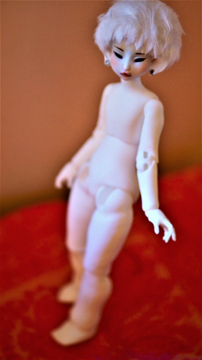 S. D. Schuda tweet media