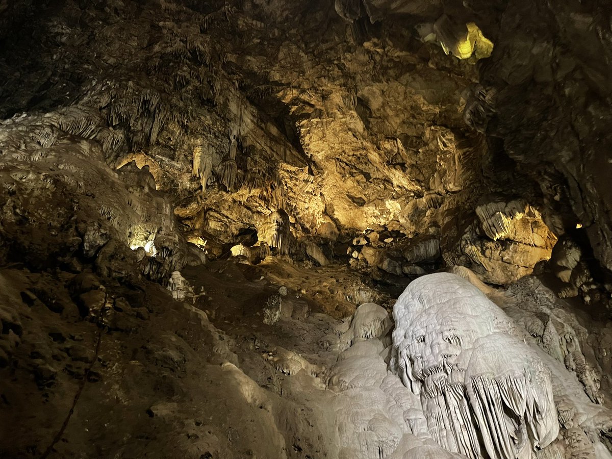 Player 2 tweet media