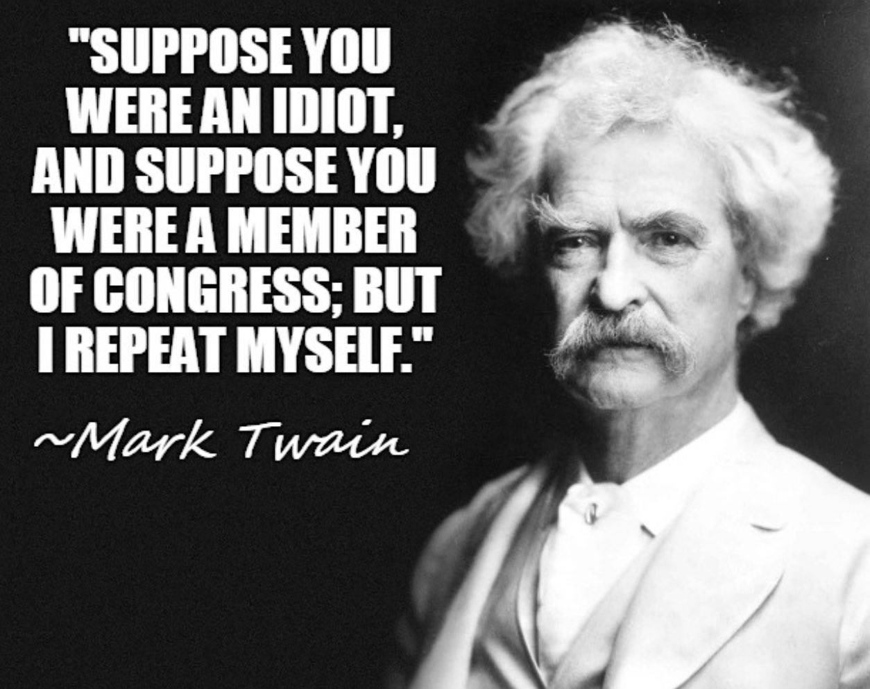Mark Twain - Suppose you were an idiot, and suppose you