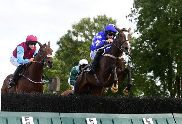 MinchinWilliam's tweet photo. Nikini did the business again this evening when running out a convincing winner of the opening maiden hurdle at Kilbeggan. Great Daddy - Daughter day out at the races 😁 #blueandwhitesyndicate #nikini https://t.co/p6LaYDyAD8