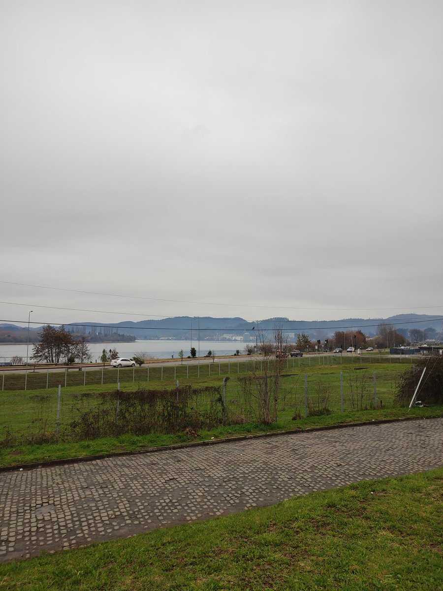 Un sábado cualquiera, después de salir del trabajo, tener una clase de diplomado y luego una vueltecita en bici 😎💜🙌👏 #Valdivia