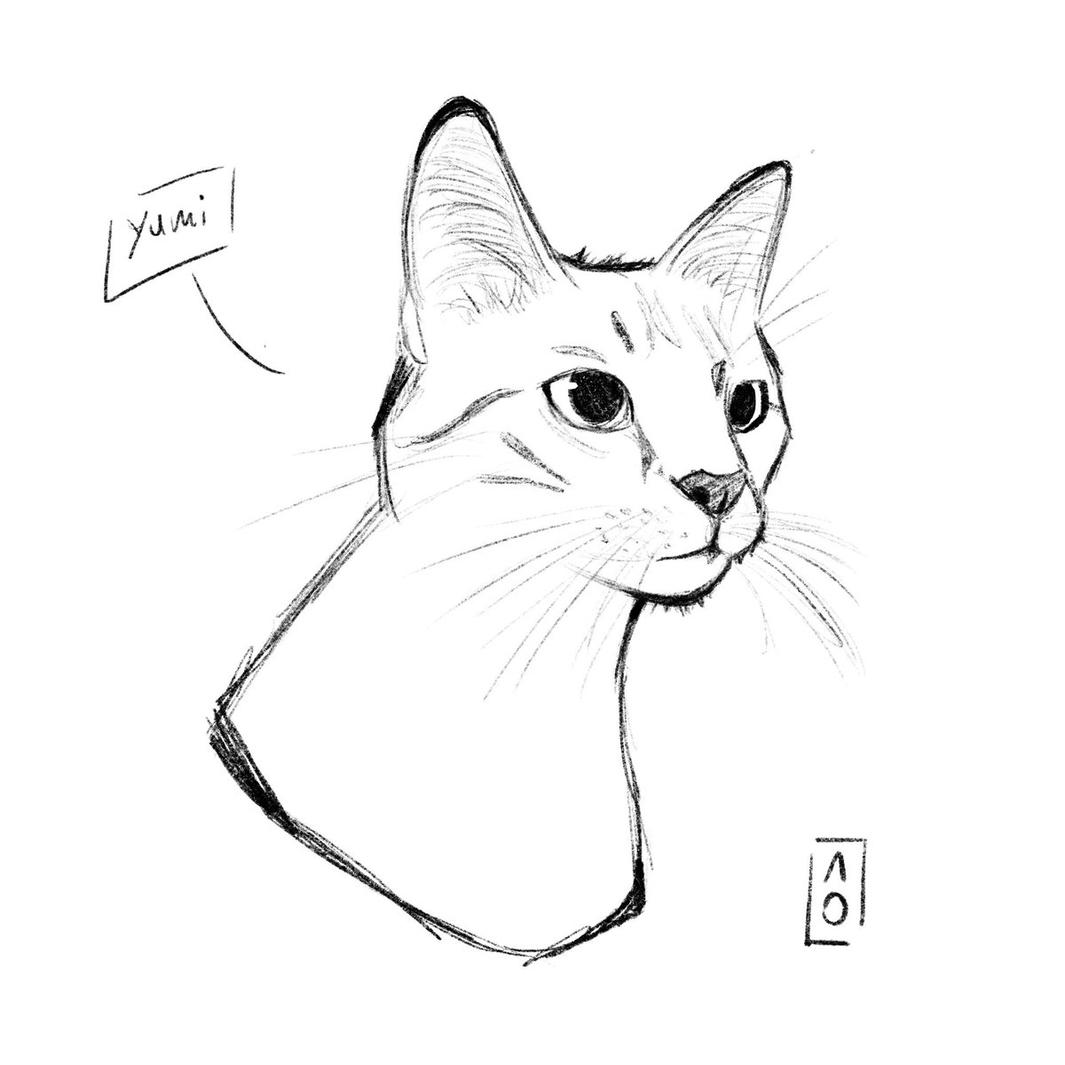 My little Yumi ♥️

#art #drawing #sketch #cat