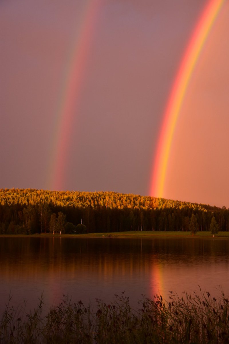 ThereseHenriks's tweet photo. Färgstark regnbågskväll! 🌈 
#norrbotten #regnbåge https://t.co/qXYEHkBsBu