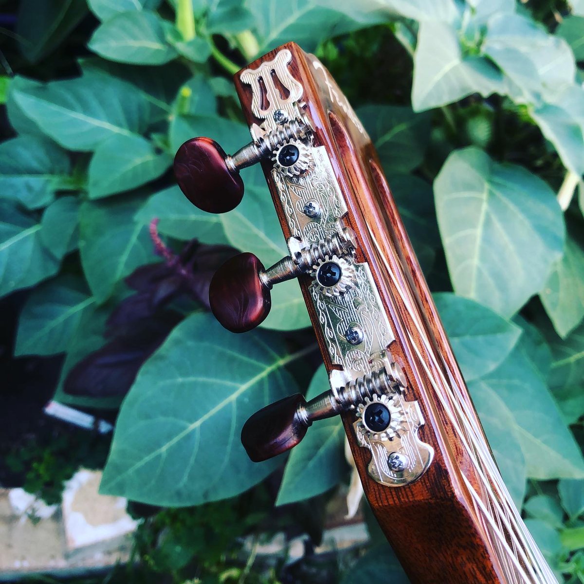 CircuitdesYeux's tweet photo. my @Fender nylon guitar came today !

i feel very cool for getting this guitar from them &amp; also very silly for choosing to play high action 12 string guitars up until this juncture.

#fchord #bchord #barchords here I come. https://t.co/TlK2Kgn2ZD