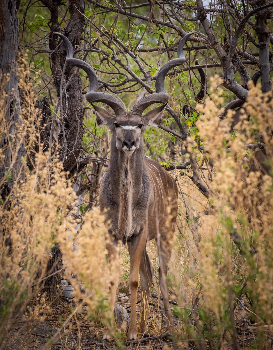 Wish you all a safe and sound night ..🙏