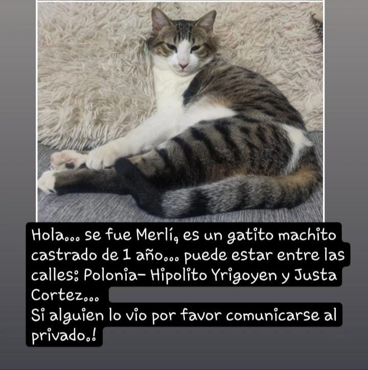 carlabastias04's tweet photo. https://t.co/fQ57vzeoDP