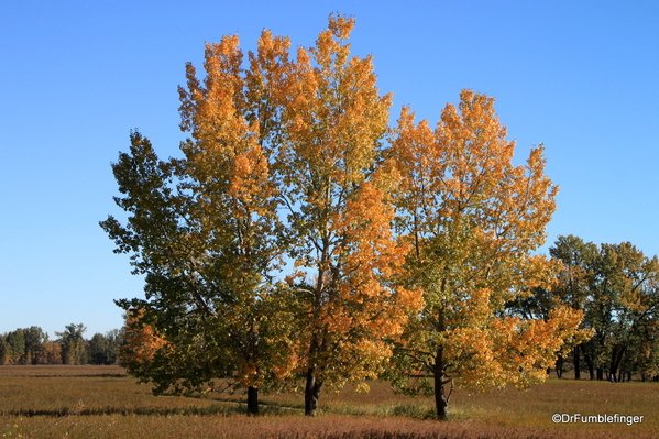 TravelGumbo's tweet image. #FallColors, #FishCreek Provincial Park, #Calgary #ttot

TravelGumbo archives
By Travelers, For Travelers

travelgumbo.com/blog/fall-colo…