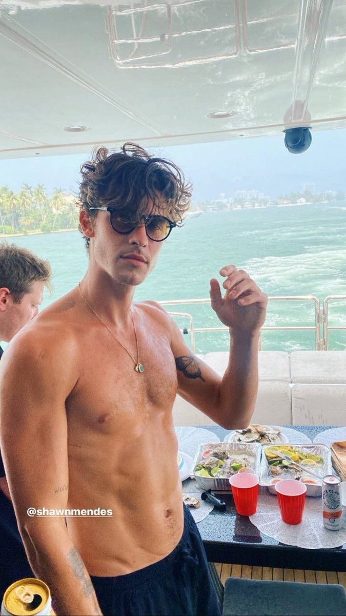 Male Celebs on Twitter "Shawn Mendes"