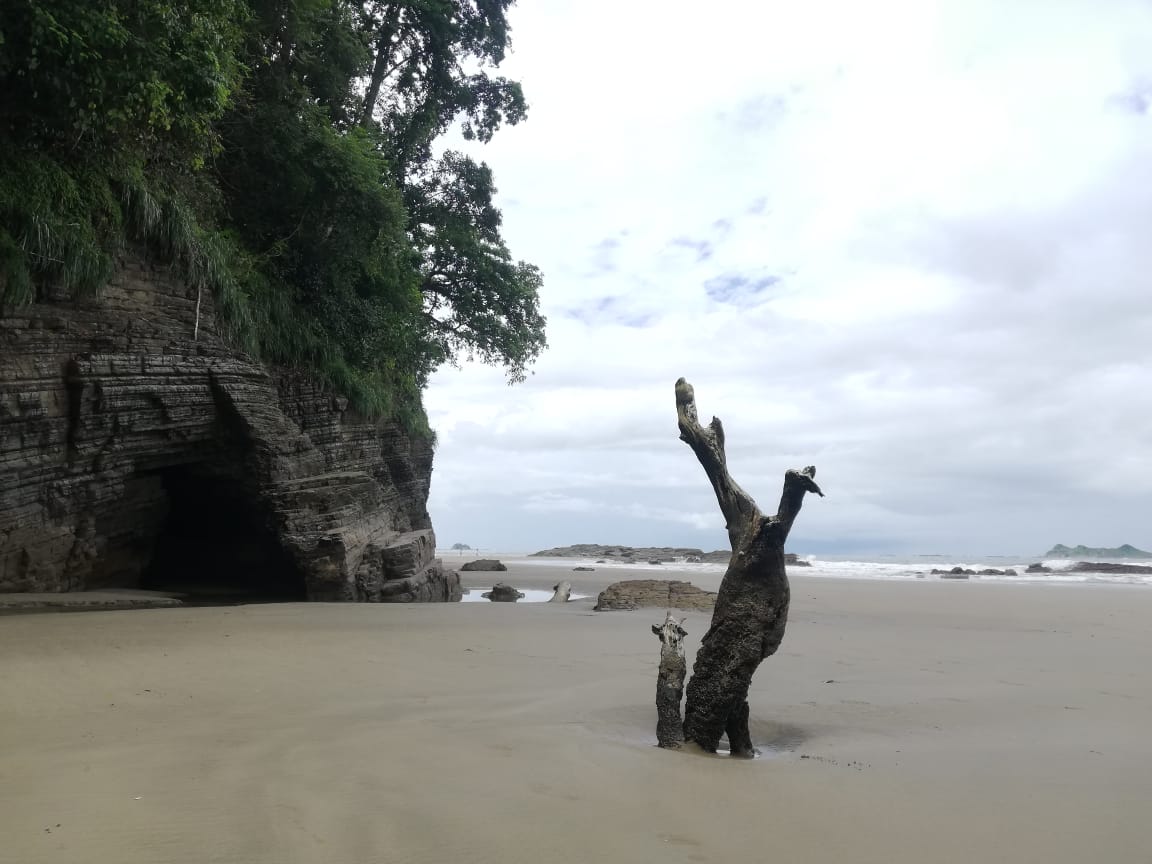 CrPlanner's tweet photo. #CostaRica #TravelPlanner #Marinoballenapark #Uvita #PuraVida #ArcoBeach https://t.co/tsPphtUyVL