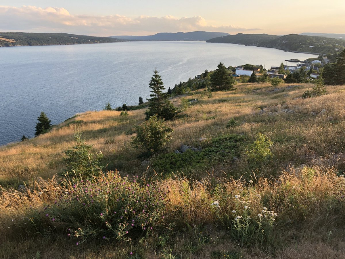 A view from Bayside B&amp;B in Porte de Grace, NFLD.
