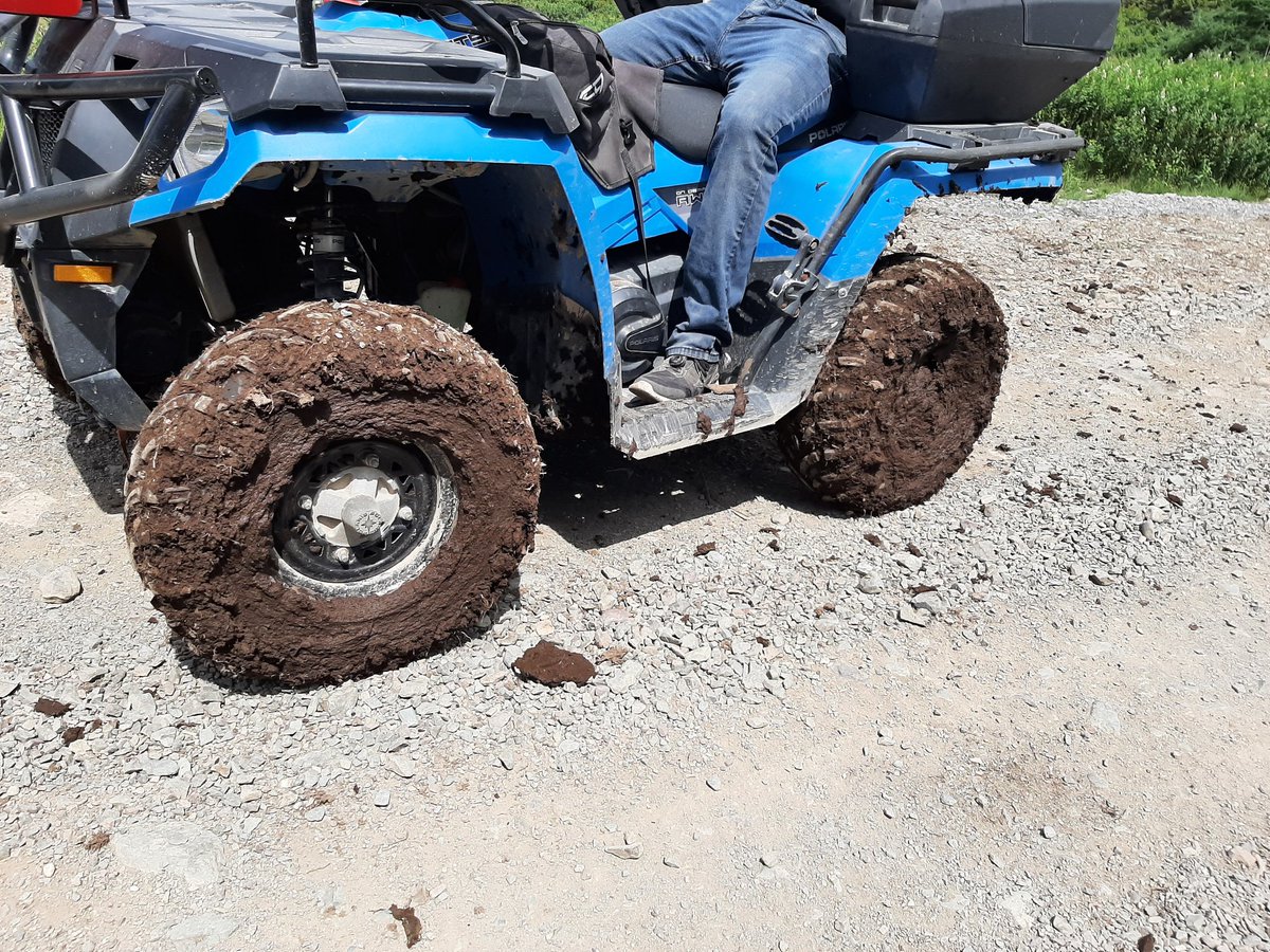 SteveDickerNL's tweet image. There&apos;s a @BradPaisley song here...... #MudOnTheTires