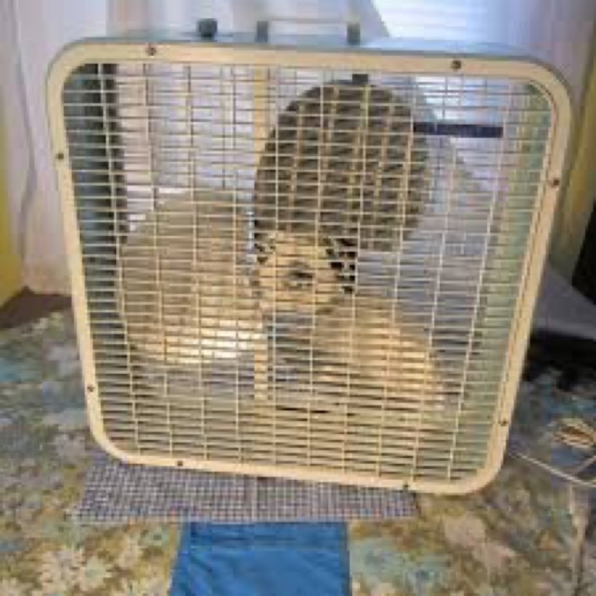 Today in 1979, you entertained yourself for 10 minutes by just saying random shit into this fucker for the voice sound effects.