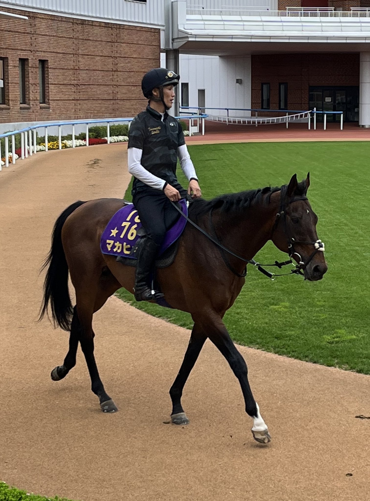 函館競馬場 Twitter Search Twitter
