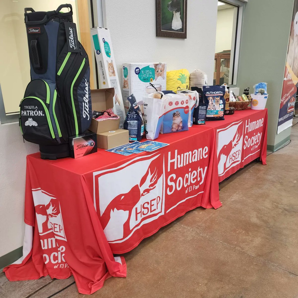AntonConlon's tweet photo. It was a pleasure to represent the board of directors of @humanesocietyep during the 29th annual telethon. A wonderful cause supported by wonderful people and volunteers #teamdog
.
.
#ElPaso #Texas #dog #dogs #volunteer #adoptdontshop #AnimalAdvocate #hsep https://t.co/wL60RCE2MS