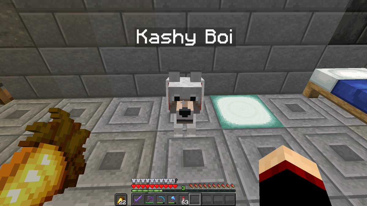 dawjinc91's tweet photo. This is my dog on #WolvesWorldSMP
#Minecraft #Dawjinc
The dog is named after my cousins dog whom she just lost. #RIPKashyBoi
https://t.co/APu3VhokjB https://t.co/bVSGdvKEGO